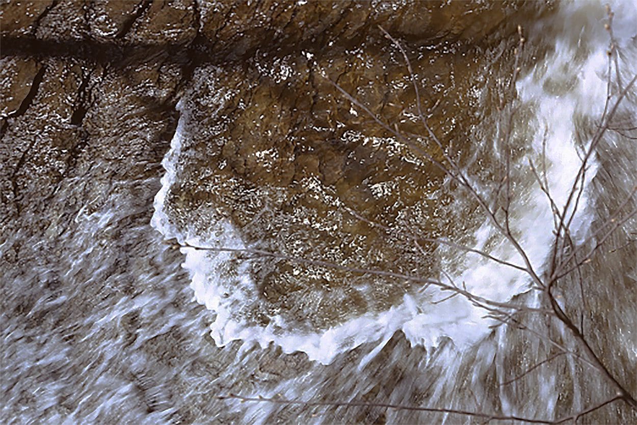 photograph of water and a branch of a tree