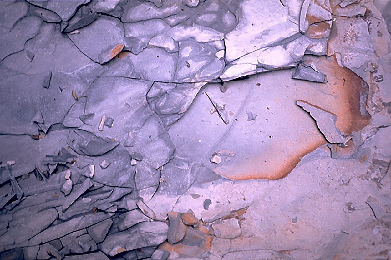 closeup shot of broken concrete floor