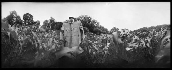 Alfred Scarecrow black and white Photograph