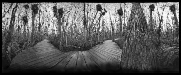 THE PINHOLE PORTFOLIO - Image 6