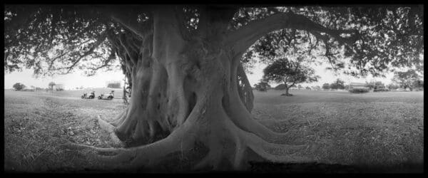 THE PINHOLE PORTFOLIO - Image 5