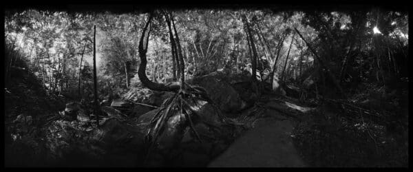 THE PINHOLE PORTFOLIO - Image 17