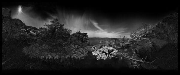 THE PINHOLE PORTFOLIO - Image 15